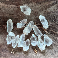Cuart lemurian