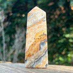 Jasp albina Bumblebee