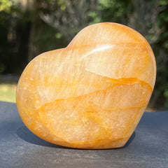 Cuart golden healer/lamaie