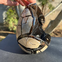 Septaria Piatra Dragonului